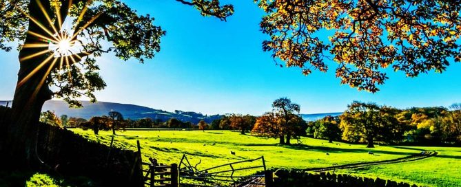 John Deere 5085E Utility Tractor