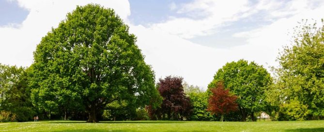 John Deere 6130M Tractor