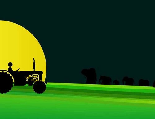 John Deere X495: A Reliable Lawn And Garden Tractor