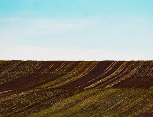 John Deere 3150: A Compact Utility Tractor